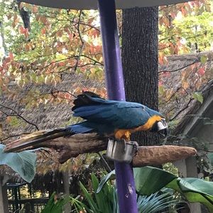 Meet your Posher, Angelica